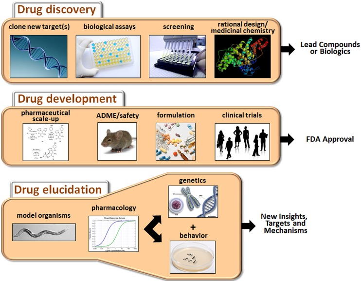 Drug-Discovery
