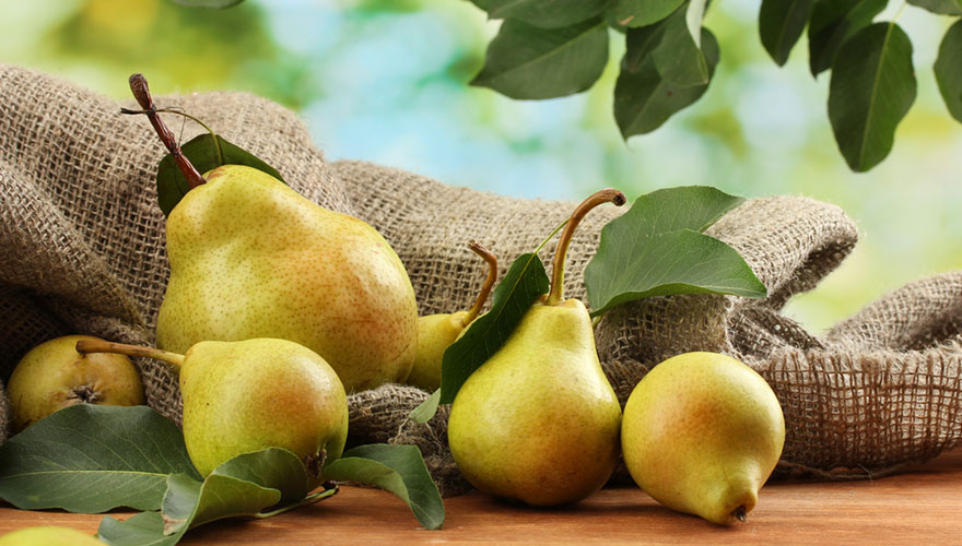 amazing top 5 benefits of pears fruits