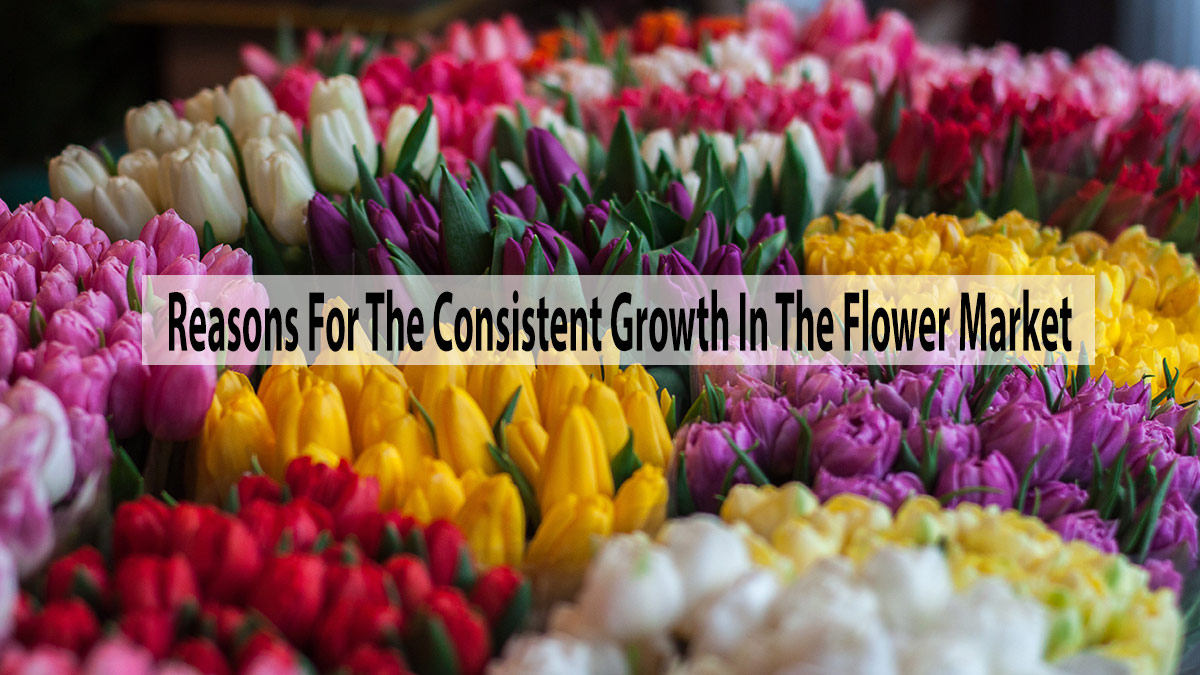 Top Reasons For The Consistent Growth In The Flower Market
